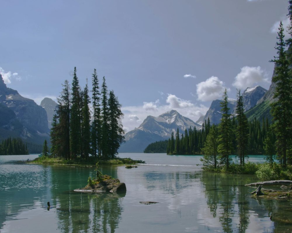 pexels-dominique-boulay-61077061-13406737